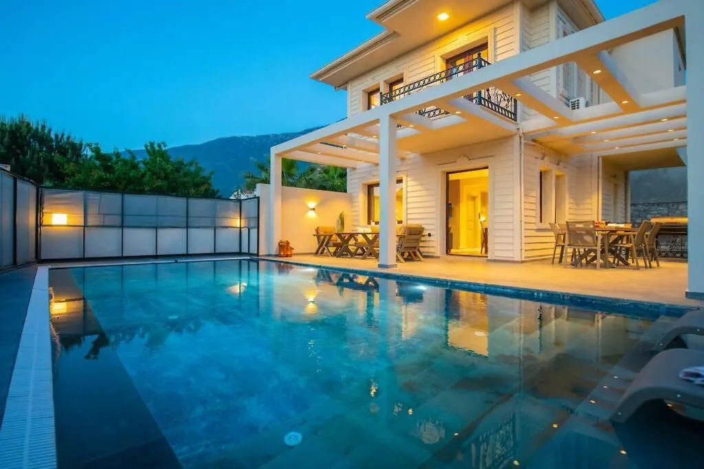 Havuzlu Korunakli Jakuzili Villa 费特希耶