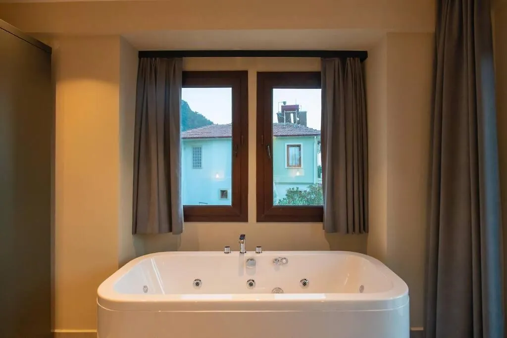 Havuzlu Korunakli Jakuzili Villa 费特希耶